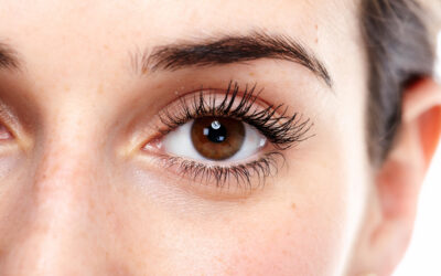 The Science Behind Lash Growth: Tips for Healthy, Luscious Lashes